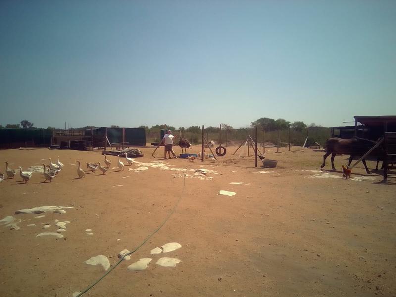 3 Bedroom Property for Sale in Franskraal Western Cape